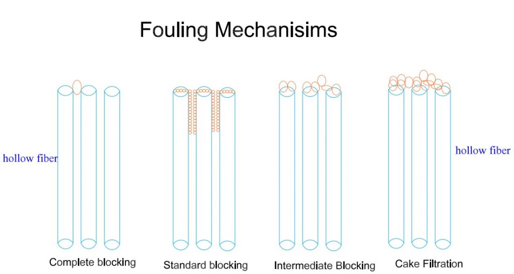 MBR Fouling Mechanisims